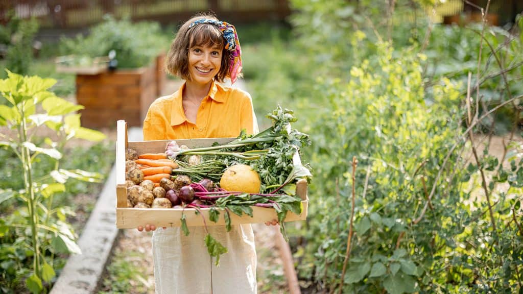 mulher carregando vegetais em horta represetando os fertilizantes orgânicos