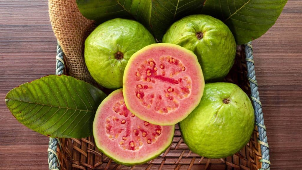 frutas ricas em proteínas - imagem de goiaba
