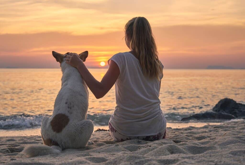 Na imagem há um mulher de cabelo preso, sentada na areia, olhando o mar. Ao lado dela, um cachorro com pelos brancos, observando a paisagem. A imagem foi escolhida para ajudar na ideia de autocuidado.