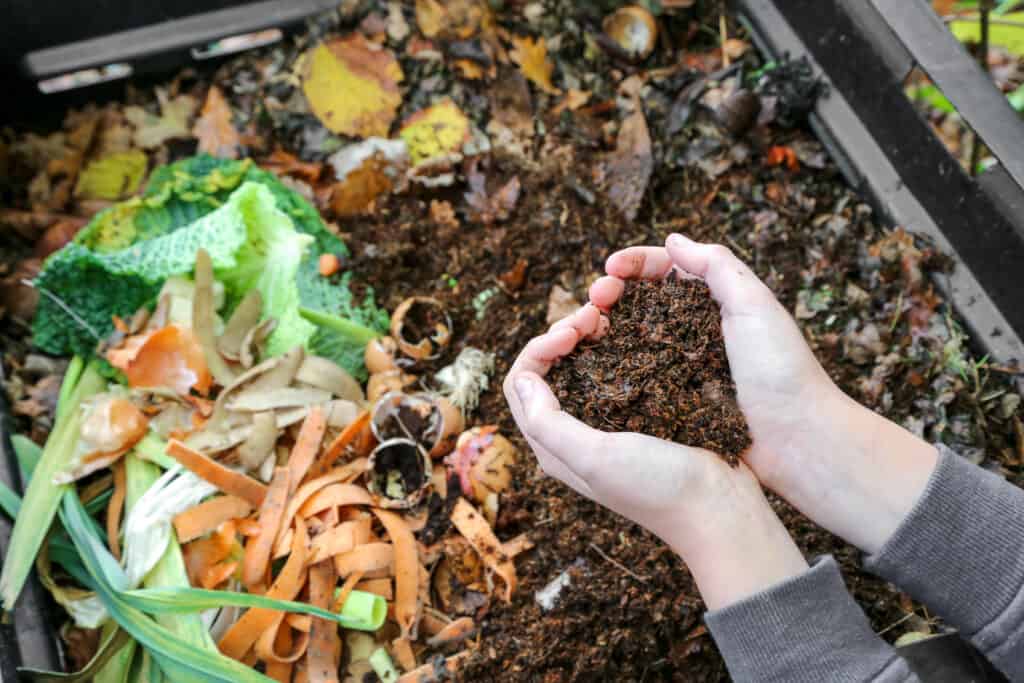 Texto alternativo: na imagem há uma mão segurando um pouco de terra, ao lado alguns restos de alimentos usados para compostagem, que também é uma forma de evitar desperdício