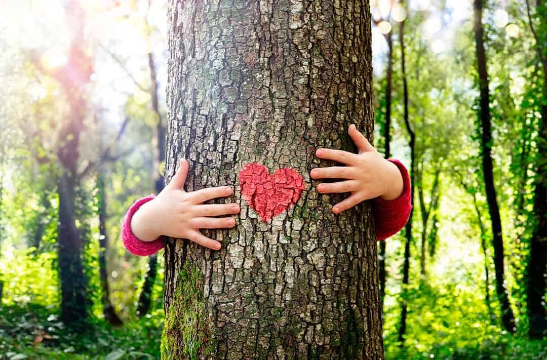 Texto alternativo: na imagem há uma árvore com um coração vermelho desenhado nela 