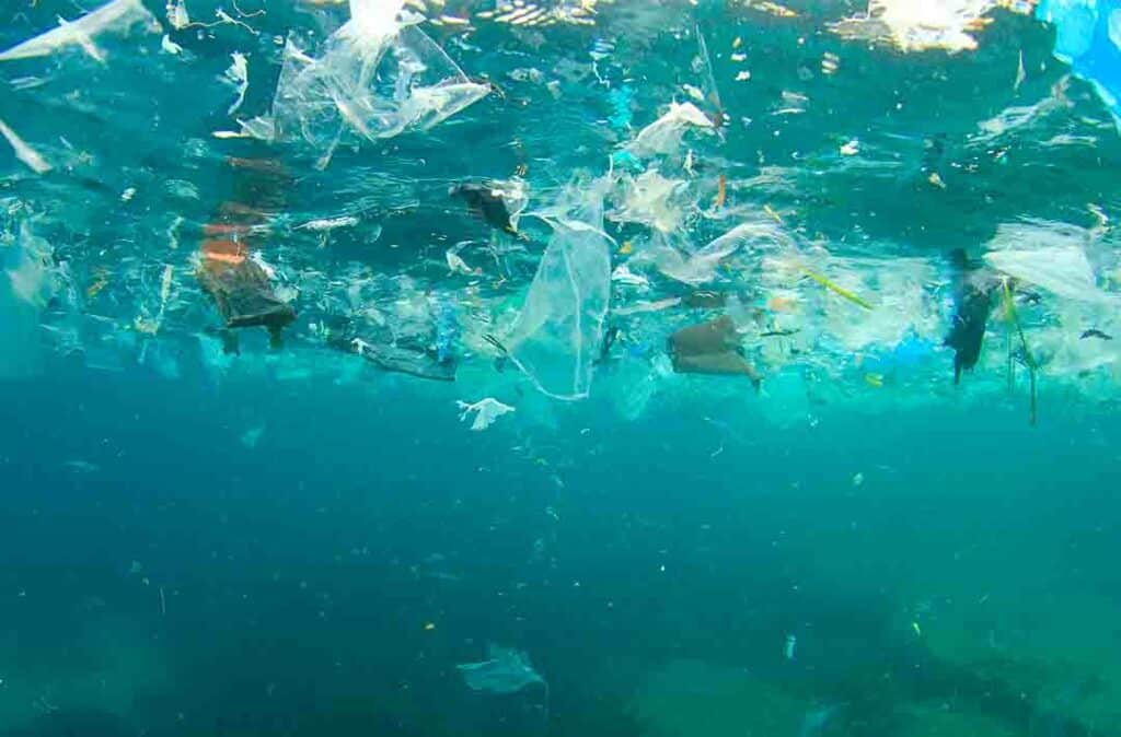 Texto alternativo: na imagem há o mar em azul claro, com diversos plásticos boiando, representando a necessidade de ser sustentável