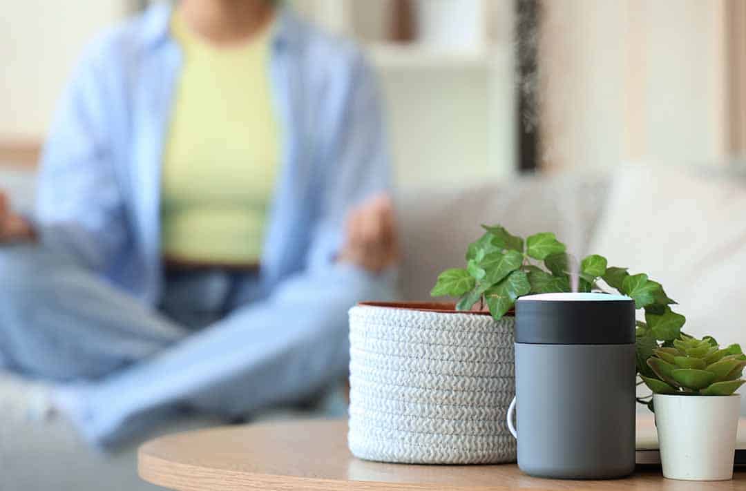 Texto alternativo: dois vasinhos de plantas, pequenos, e um umidificador de ar, com uma moça ao fundo meditando