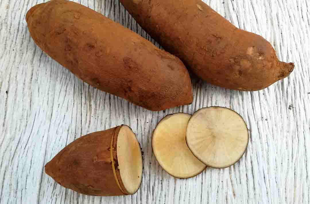 texto alternativo: na imagem há uma batata yacon e duas rodelas cortadas 